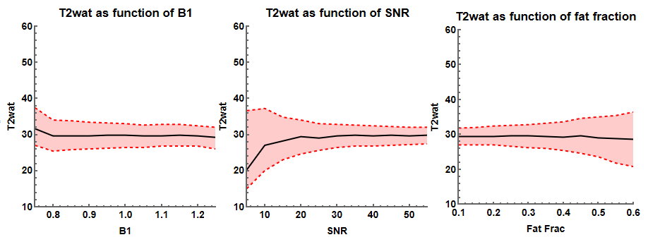 T2 EPG reconstruction simulation